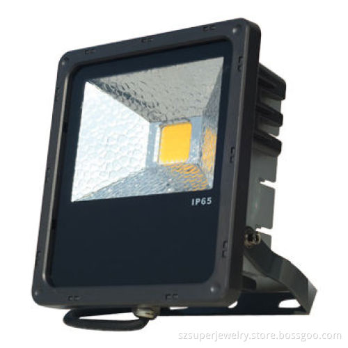20W LED Floodlight